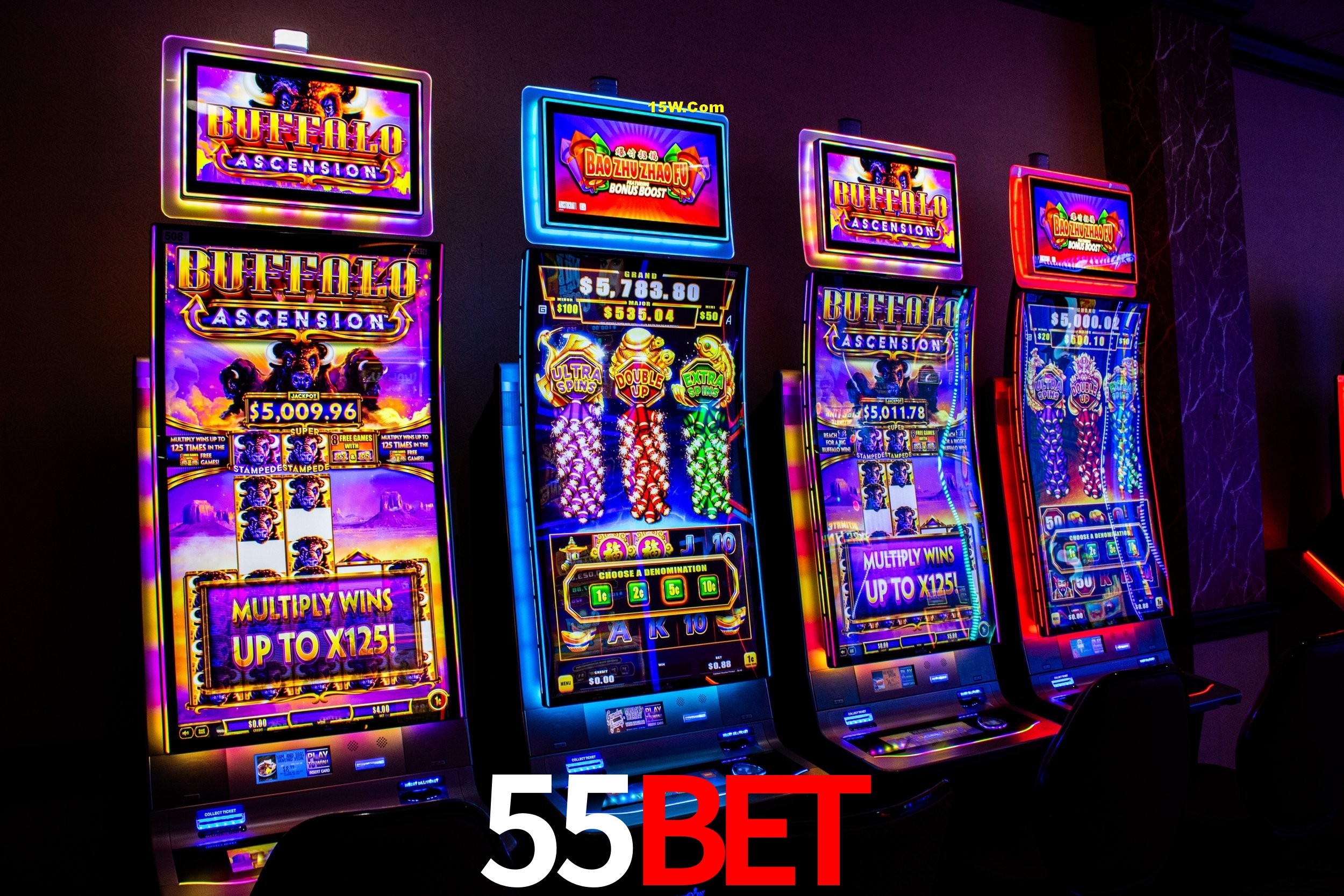 Experiência VIP 55Bet